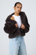 LOTTIE PRE ORDER
