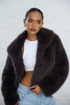 LOTTIE PRE ORDER