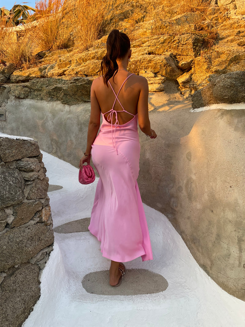 PAMELA
